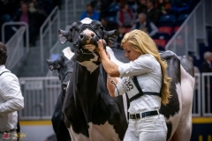 DSC01064-3 DSC01064-3