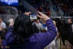 DSC01073-3 DSC01073-3