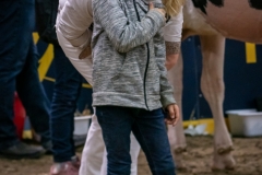 DSC01077-3 DSC01077-3