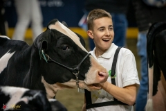 DSC09891-3 DSC09891-3