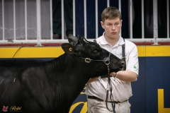 DSC09946-3 DSC09946-3