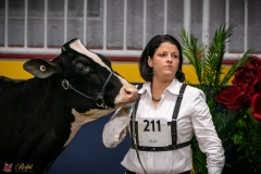 DSC09949-3 DSC09949-3