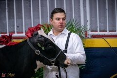 DSC09990-3 DSC09990-3