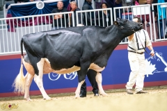 A9109935-3-10431 A9109935-3-10431