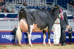 A9100005-2-10407 A9100005-2-10407