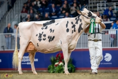 A9100013-2-10410 A9100013-2-10410