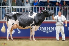 A9109955-10387 A9109955-10387