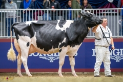 A9109957-10388 A9109957-10388