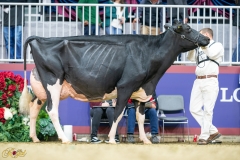 A9109966-10394 A9109966-10394