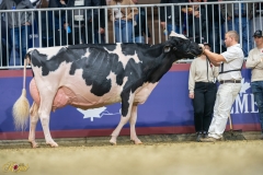 A9109967-10395 A9109967-10395