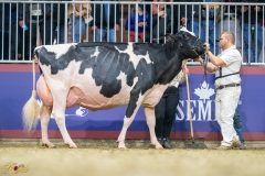 A9109969-10396 A9109969-10396