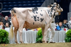 A9109990-2-10402 A9109990-2-10402