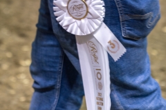 AR309950-2 AR309950-2