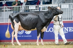 A9109776-10254 A9109776-10254