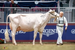 A9109782-10255 A9109782-10255