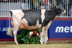 A9109784-10256 A9109784-10256