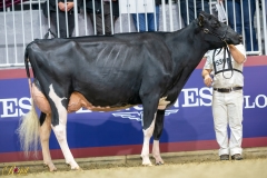 A9109786-10257 A9109786-10257