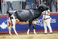 A9109788-10258 A9109788-10258