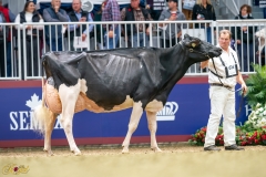 A9100002-3-10450 A9100002-3-10450