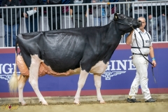 A9109992-3-10447 A9109992-3-10447