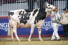 A9109657-10182 A9109657-10182