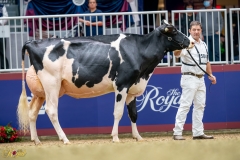 A9109668-10185 A9109668-10185