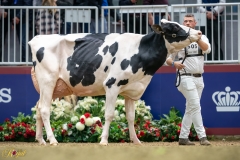 A9109672-10187 A9109672-10187