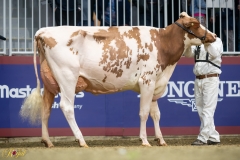 A9109679-10189 A9109679-10189