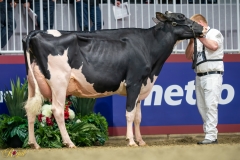 A9109689-10194 A9109689-10194