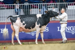 A9109691-10195 A9109691-10195