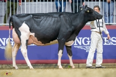 A9109695-10196 A9109695-10196