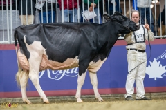 A9109717-10202 A9109717-10202