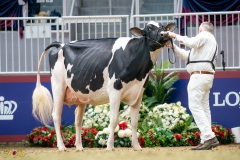 A9109725-10204 A9109725-10204