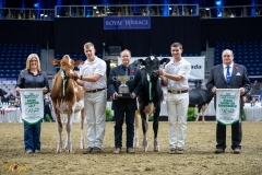 AR309659-10231 AR309659-10231