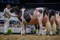 DSC09576-10219 DSC09576-10219