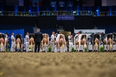 DSC09587-10222 DSC09587-10222