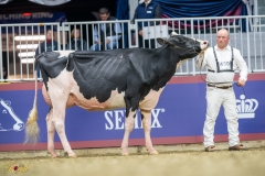 A9109531-10137 A9109531-10137