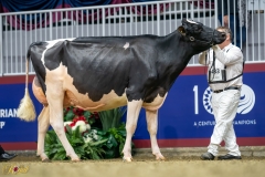 A9109535-10138 A9109535-10138