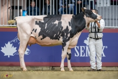 A9109539-10139 A9109539-10139