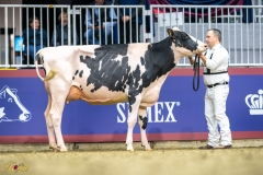 A9109543-10140 A9109543-10140