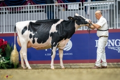 A9109551-10142 A9109551-10142