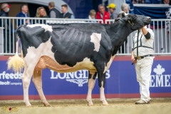 A9109558-10146 A9109558-10146