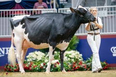 A9109562-10147 A9109562-10147