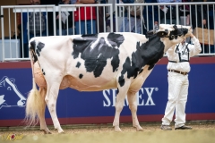 A9100010-10316 A9100010-10316