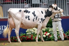 A9100024-10319 A9100024-10319