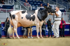 A9100027-10320 A9100027-10320