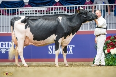 A9100029-10321 A9100029-10321