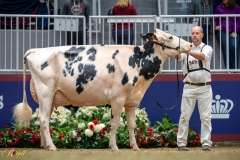 A9100049-10328 A9100049-10328