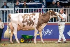 A9100050-10329 A9100050-10329