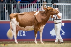 A9100067-10335 A9100067-10335